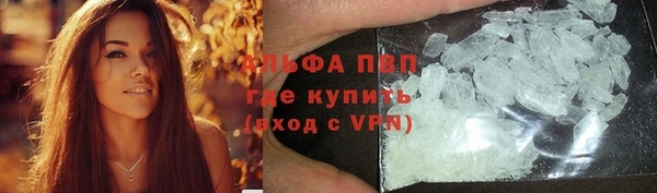 молекула духа Новозыбков