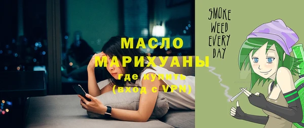 молекула духа Новозыбков