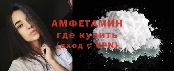 молекула духа Новозыбков