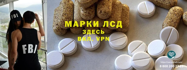 молекула духа Новозыбков