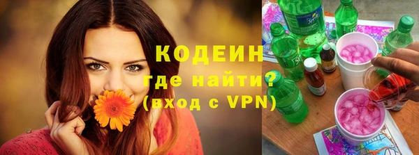 молекула духа Новозыбков