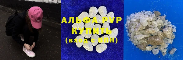 молекула духа Новозыбков