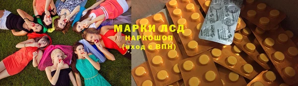 молекула духа Новозыбков