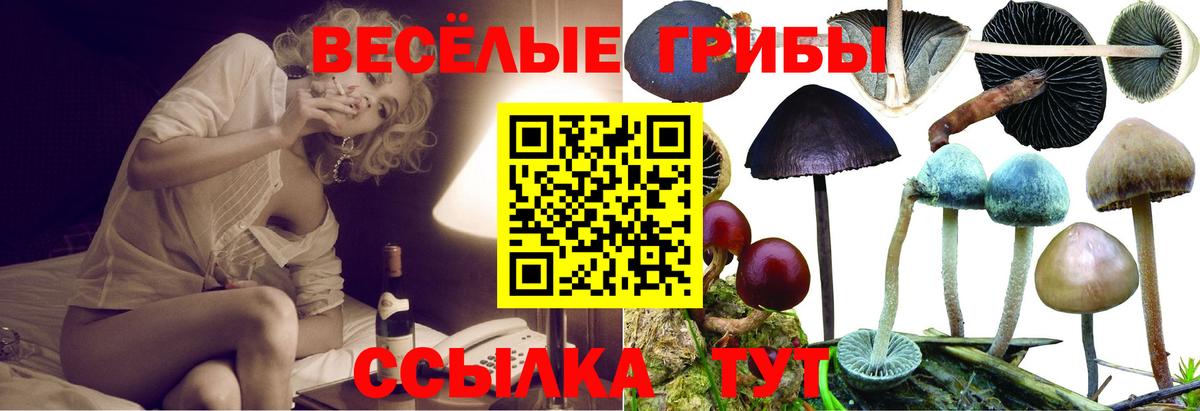 Псилоцибиновые грибы мицелий Астрахань