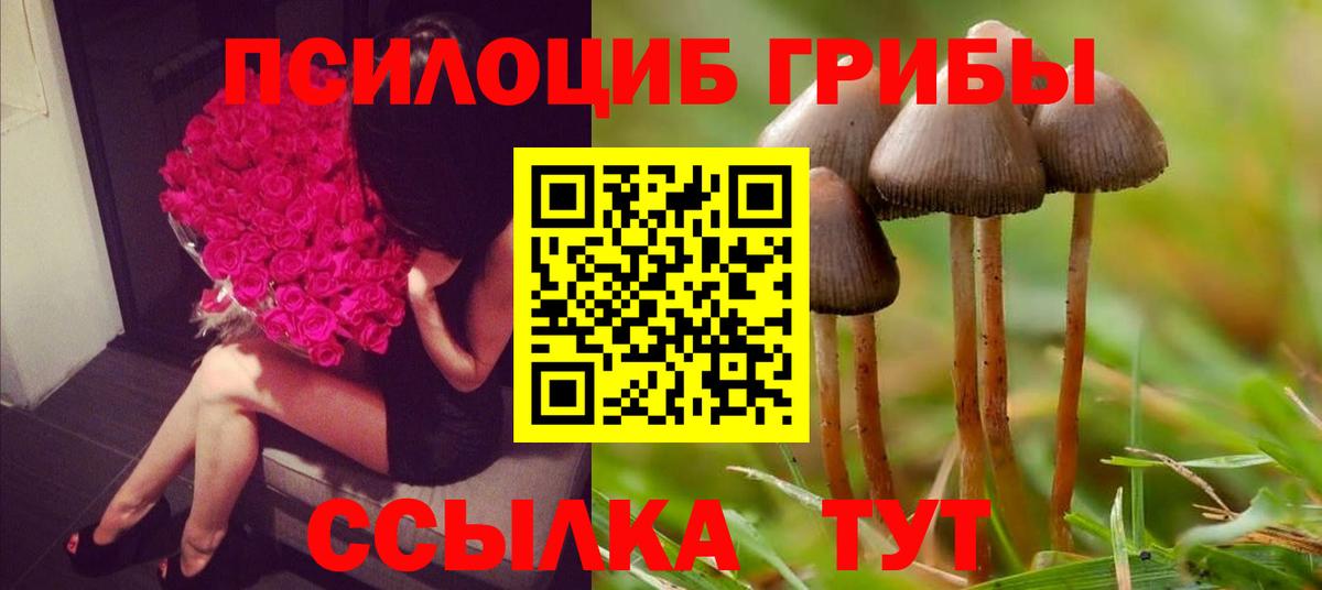 Канабис  MDMA  Вход с VPN  Астрахань  Меф  АМФ  Гашиш  Хэш  COCAIN  Мефедрон  A PVP  XTC 